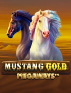 ทดลอง เล่น เช็ ก ชี่ กับความสนุกที่เหนือคาดคิด